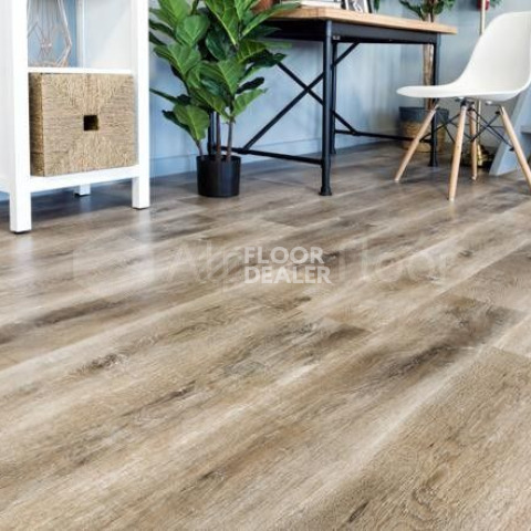 Alpine Floor Easy Line 3мм ДУБ МЕДОВЫЙ ECO 3-17 фото 2 | FLOORDEALER